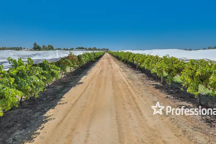 Sixth view of Homely rural property listing, 257-265 Koorlong Avenue, Nichols Point VIC 3501