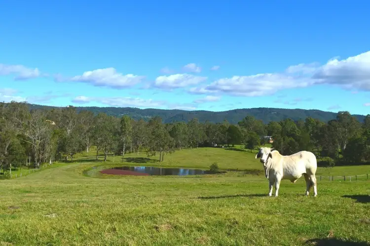 12 B Victor Russell Drive, Samford Valley QLD 4520