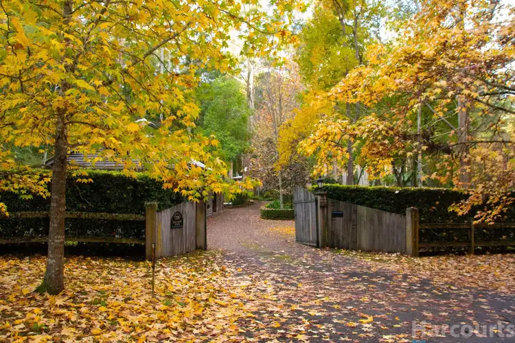 Second view of Homely rural property listing, 276 Pringles Road, Martinsville NSW 2265