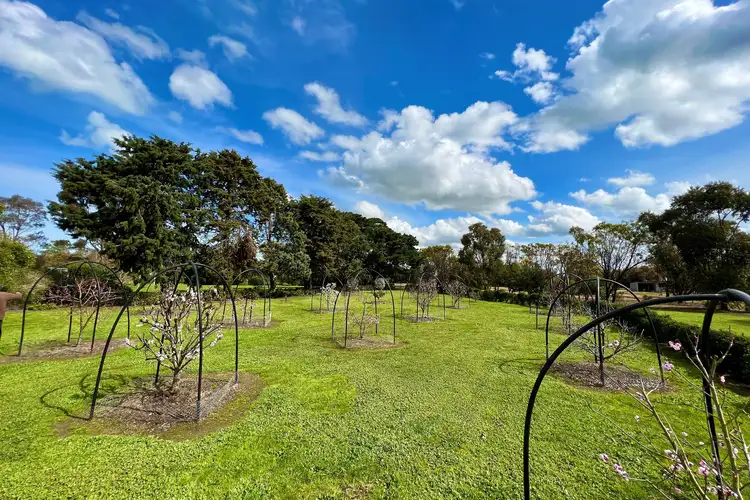 Seventh view of Homely rural property listing, 260 Barrs Road West, Mingay VIC 3324