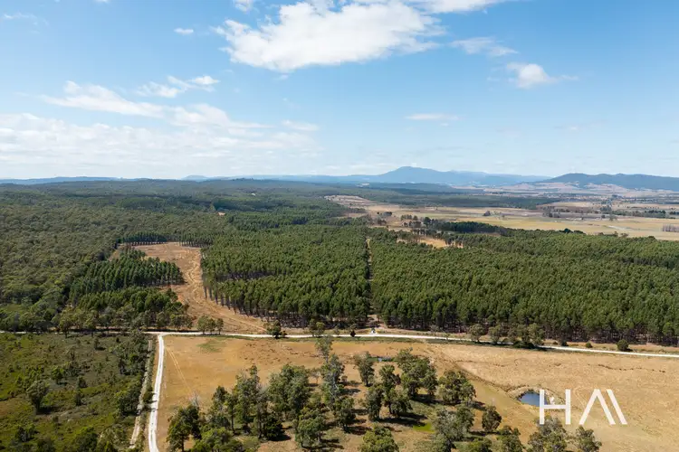 1306 Dalrymple Road, Mount Direction TAS 7252