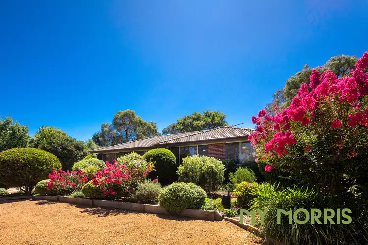 Main view of Homely house listing, 16 Bellingham Crescent, Kambah ACT 2902