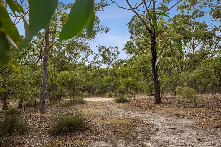Fifth view of Homely land listing, 115 Pickfords Road, Clunes VIC 3370