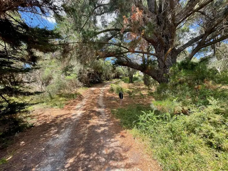 60 Louis Road, Venus Bay VIC 3956