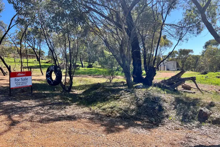 180 Horseshoe Road, Coondle WA 6566