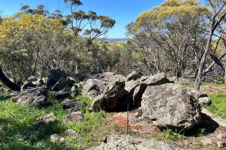 Sixth view of Homely land listing, 180 Horseshoe Road, Coondle WA 6566