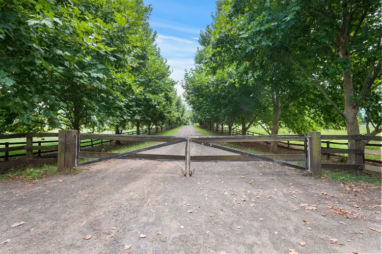 Third view of Homely rural property listing, 105 Edwards Road, Richmond Lowlands NSW 2753