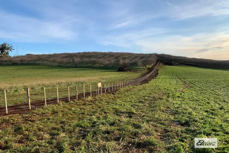 Fourth view of Homely rural property listing, 83-85 Lillico Road, Lillico TAS 7310