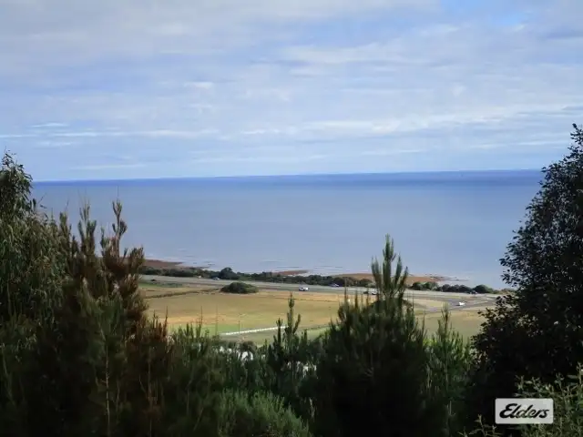 Fifth view of Homely rural property listing, 83-85 Lillico Road, Lillico TAS 7310