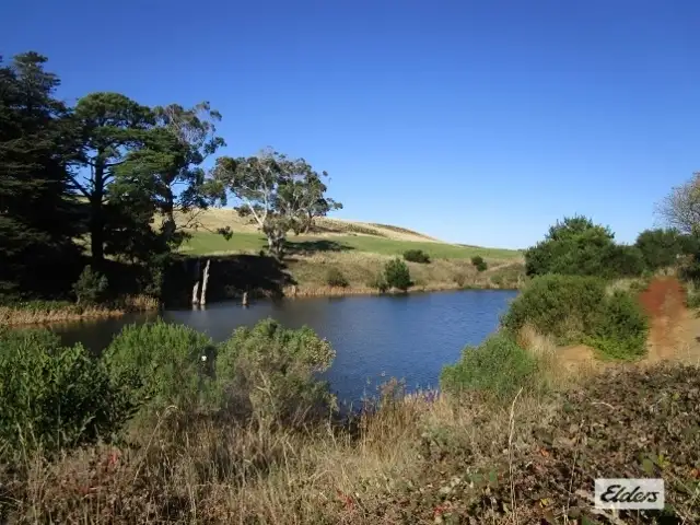 Seventh view of Homely rural property listing, 83-85 Lillico Road, Lillico TAS 7310