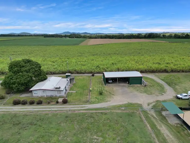 Third view of Homely rural property listing, 163 Abbotts Road, Palmyra QLD 4751