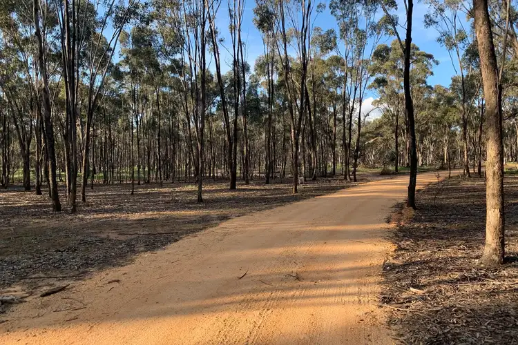 Main view of Homely rural property listing, Misery Road, Beazleys Bridge VIC 3477