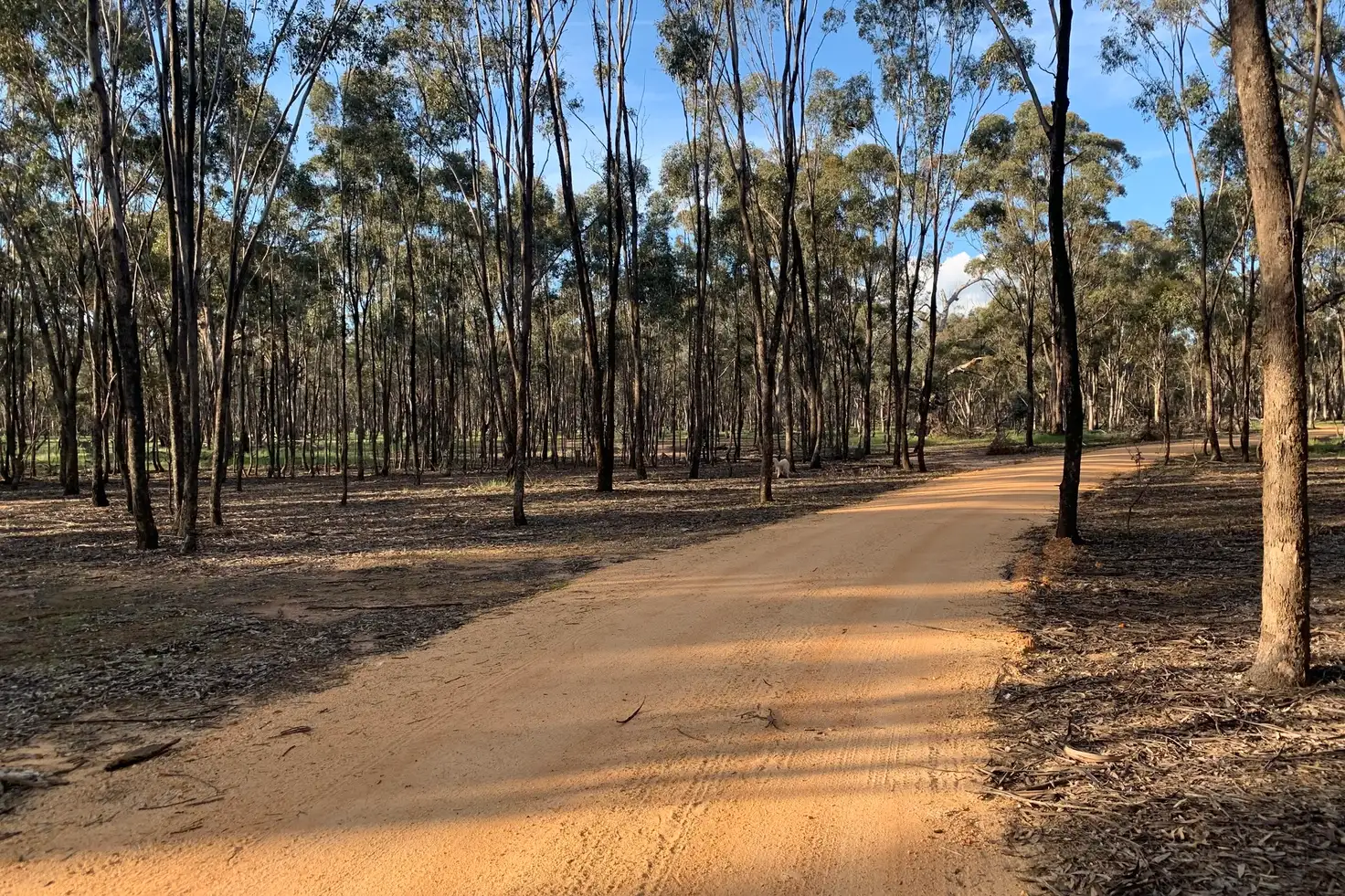 Main view of Homely rural property listing, Misery Road, Beazleys Bridge VIC 3477