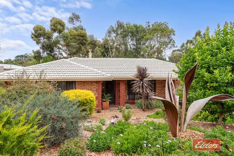Main view of Homely house listing, 36 Eva Street, Williamstown SA 5351