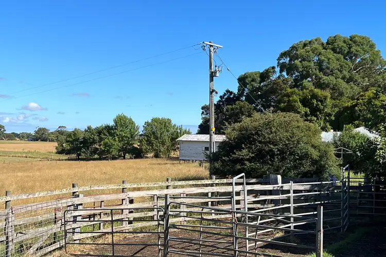 Sixth view of Homely rural property listing, 501 Swans Lane, Naringal VIC 3277