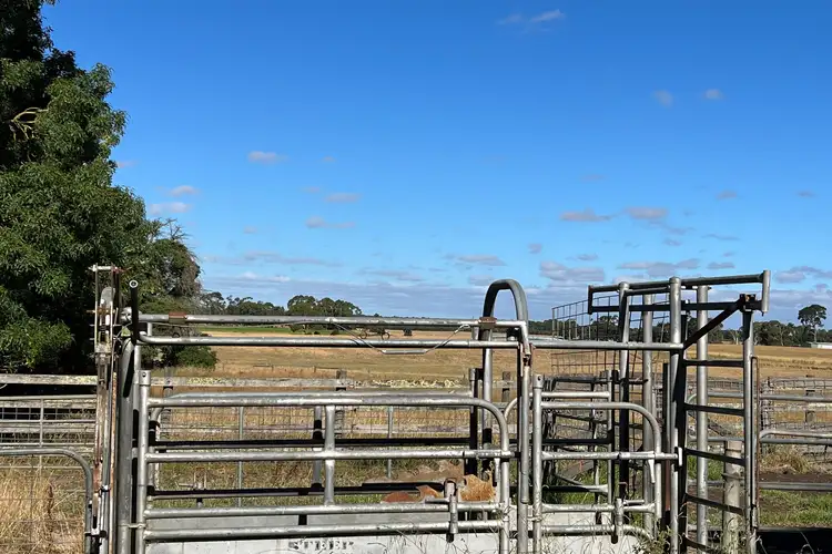 Seventh view of Homely rural property listing, 501 Swans Lane, Naringal VIC 3277