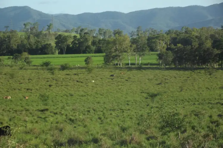 Lot 29 Quattromanis Road, Walkerston QLD 4751