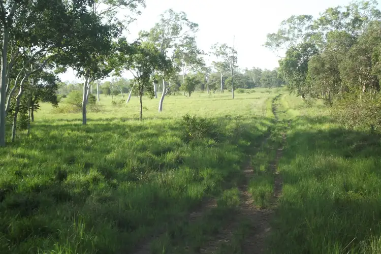 Third view of Homely rural property listing, Lot 29 Quattromanis Road, Walkerston QLD 4751