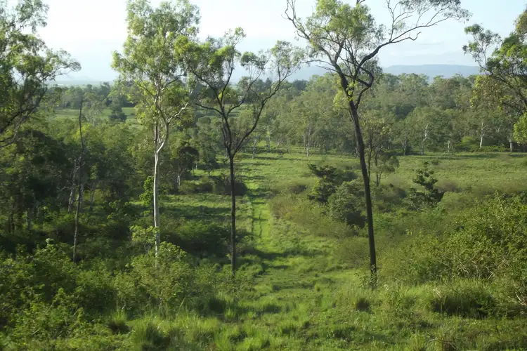 Seventh view of Homely rural property listing, Lot 29 Quattromanis Road, Walkerston QLD 4751