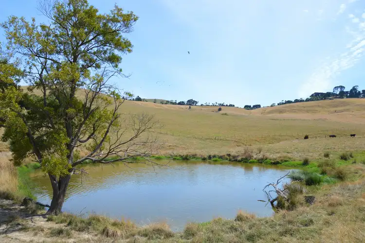 Fourth view of Homely rural property listing, 250 Buchanans Road, Bena VIC 3946