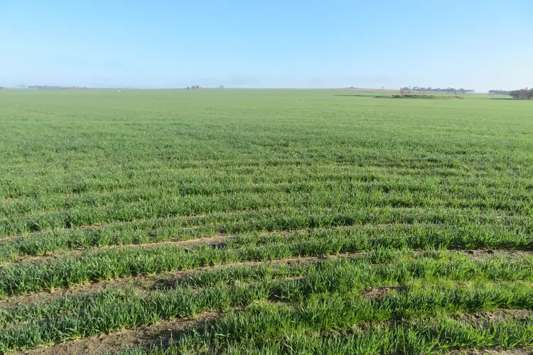 Second view of Homely rural property listing, 7297/ Warding Road, York WA 6302
