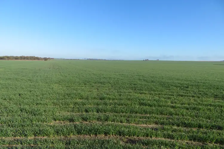 Third view of Homely rural property listing, 7297/ Warding Road, York WA 6302
