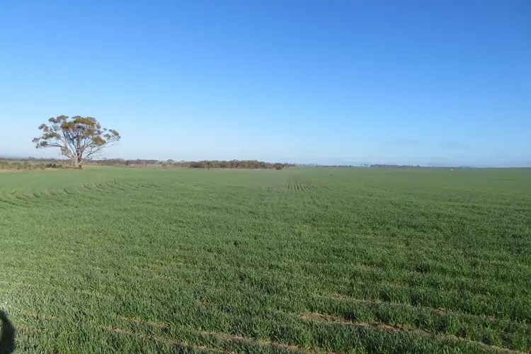 Fourth view of Homely rural property listing, 7297/ Warding Road, York WA 6302