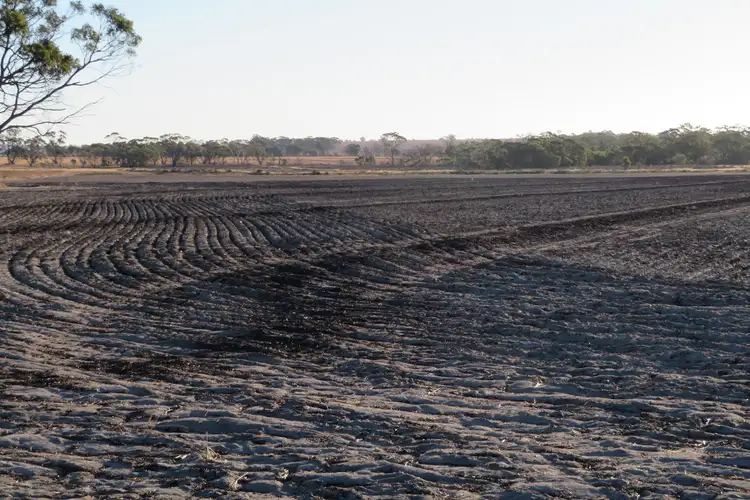 Sixth view of Homely rural property listing, 7297/ Warding Road, York WA 6302