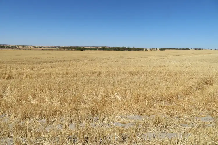 Seventh view of Homely rural property listing, 7297/ Warding Road, York WA 6302