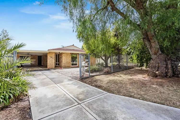 Fifth view of Homely house listing, 49 Nicolle Drive, Morphett Vale SA 5162