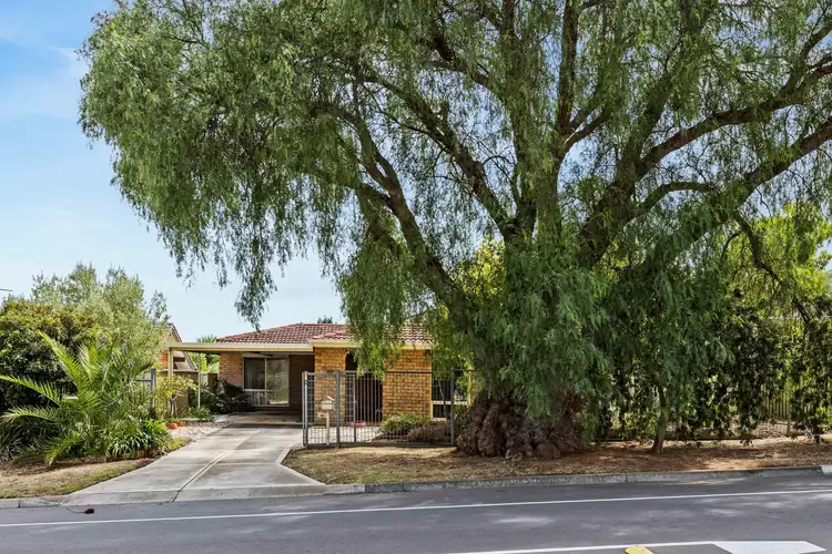 Sixth view of Homely house listing, 49 Nicolle Drive, Morphett Vale SA 5162