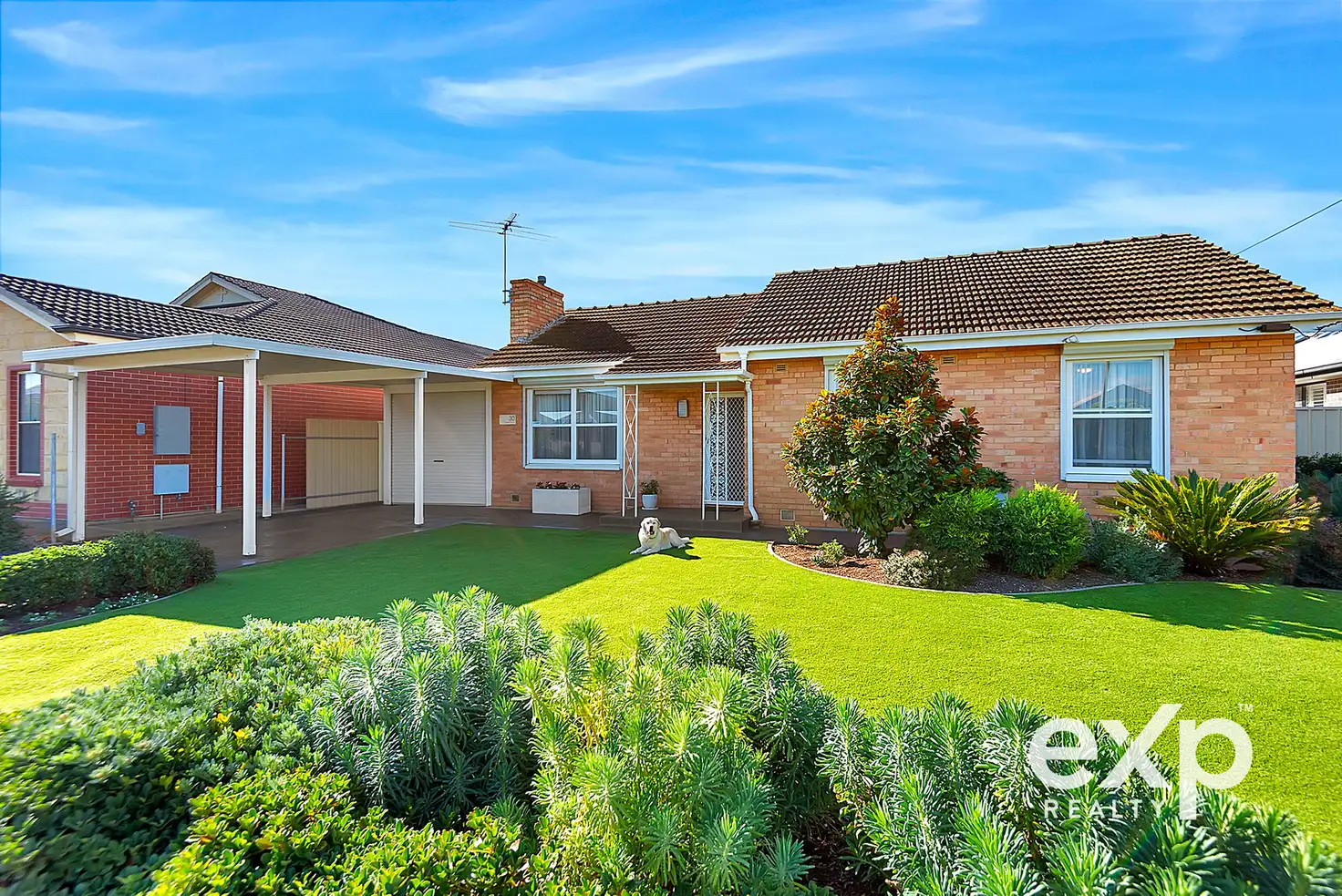 Main view of Homely house listing, 30 Lucerne Grove, Findon SA 5023