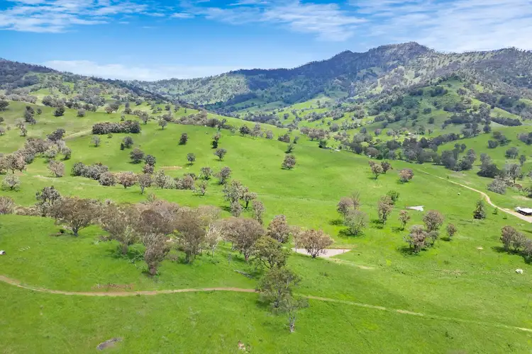 Main view of Homely rural property listing, 1969 Timor Crawney Road, Crawney NSW 2338