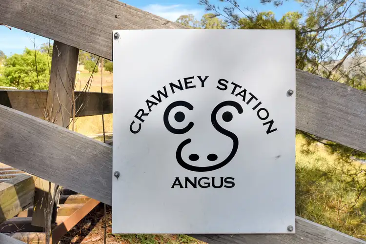 Second view of Homely rural property listing, 1969 Timor Crawney Road, Crawney NSW 2338