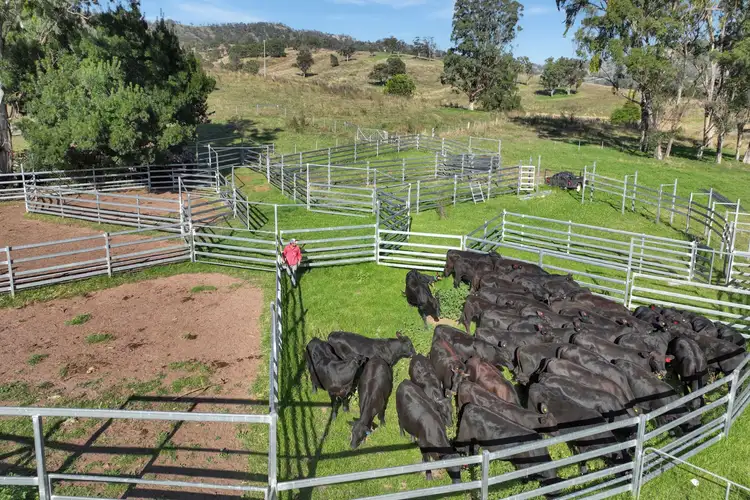 Third view of Homely rural property listing, 1969 Timor Crawney Road, Crawney NSW 2338