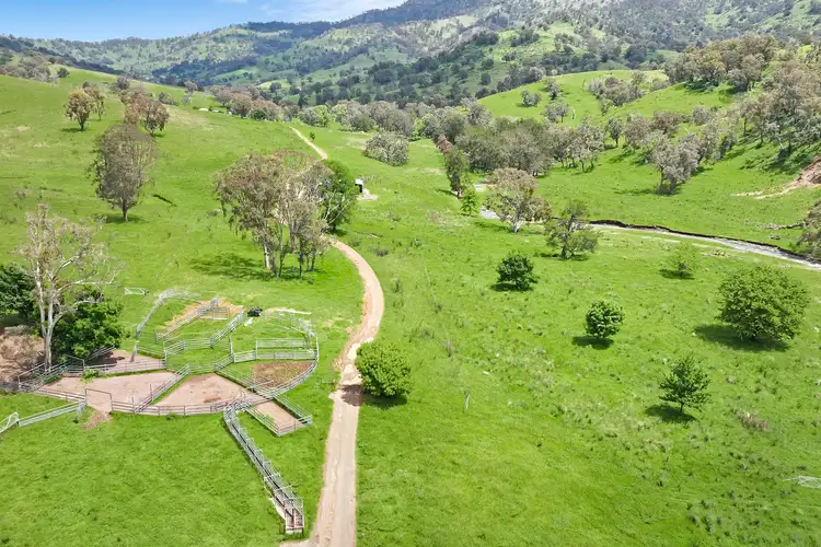 Fifth view of Homely rural property listing, 1969 Timor Crawney Road, Crawney NSW 2338