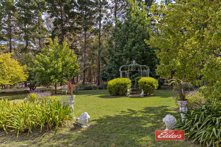 Fourth view of Homely rural property listing, Lot 64 Pearce Street, Hill Top NSW 2575