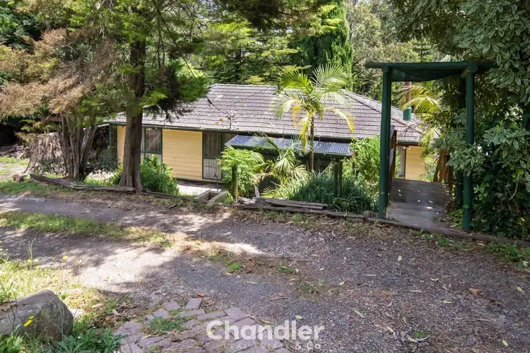 20 Olive Grove, Tecoma VIC 3160