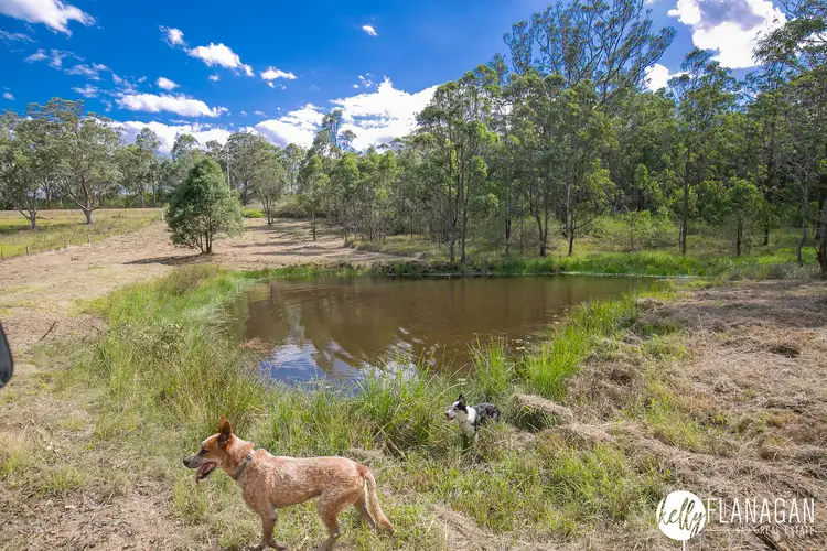 Seventh view of Homely rural property listing, 4592 Armidale Road, Bellbrook NSW 2440