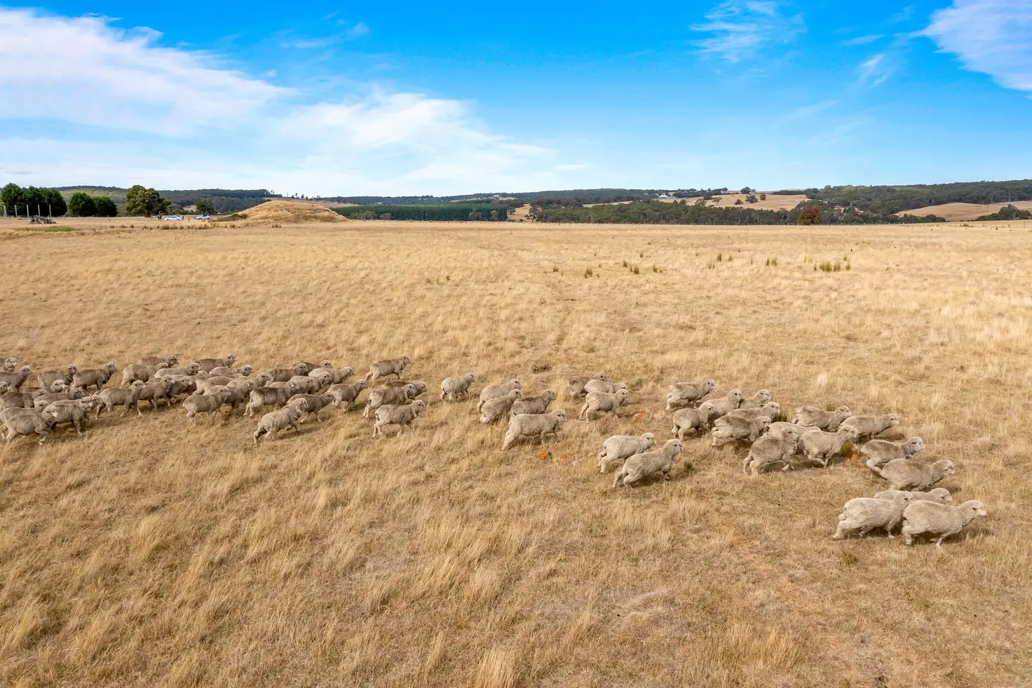 Main view of Homely rural property listing, 883 Buninyong Mount Mercer Road, Garibaldi VIC 3352