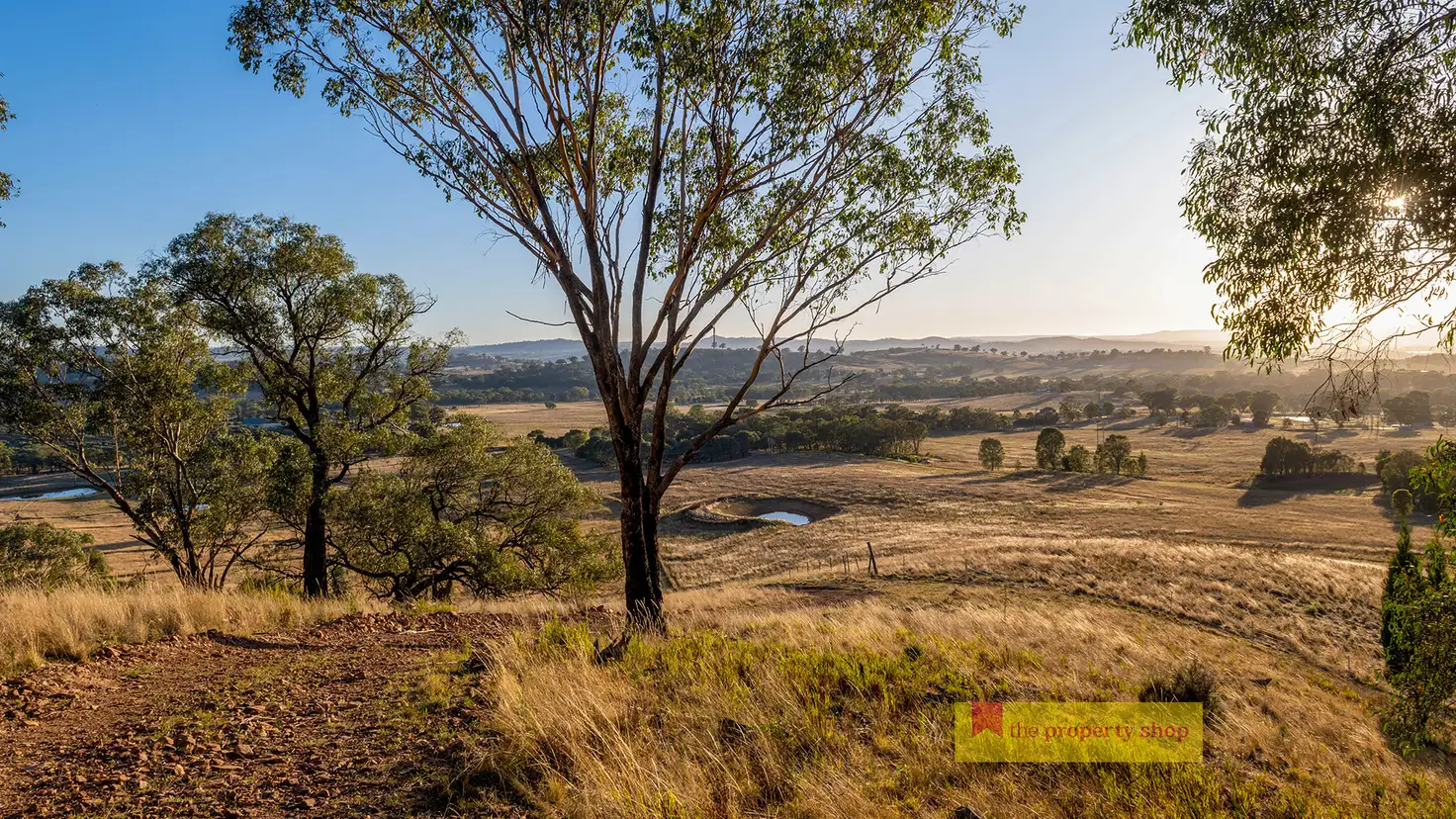 Main view of Homely rural property listing, 299 Lower Piambong Road, Mudgee NSW 2850