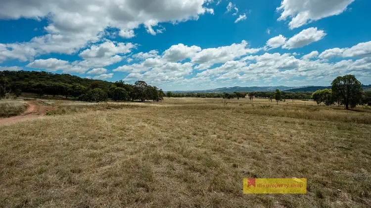 Third view of Homely rural property listing, 299 Lower Piambong Road, Mudgee NSW 2850
