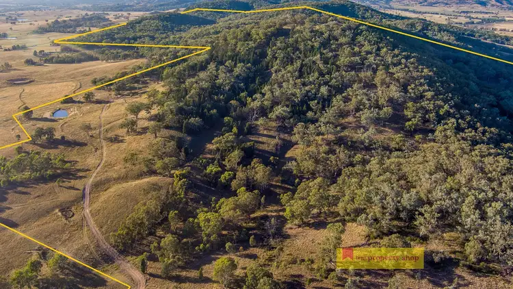 Fourth view of Homely rural property listing, 299 Lower Piambong Road, Mudgee NSW 2850