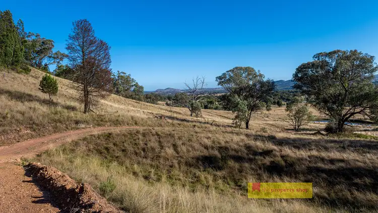 Fifth view of Homely rural property listing, 299 Lower Piambong Road, Mudgee NSW 2850