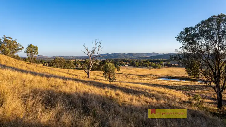 Sixth view of Homely rural property listing, 299 Lower Piambong Road, Mudgee NSW 2850