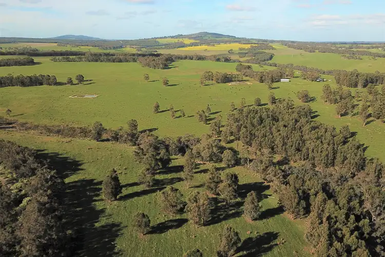 Main view of Homely rural property listing, 15306 Muir Highway, Mount Barker WA 6324