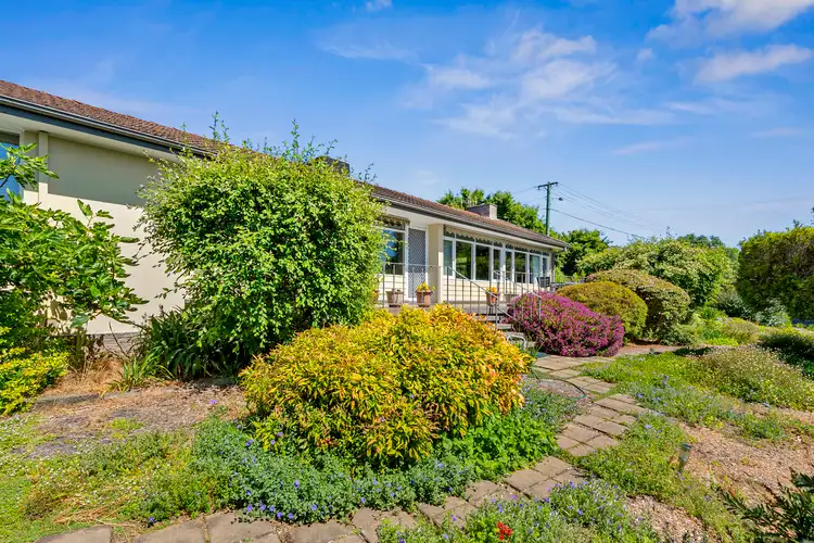 33 Earle Street