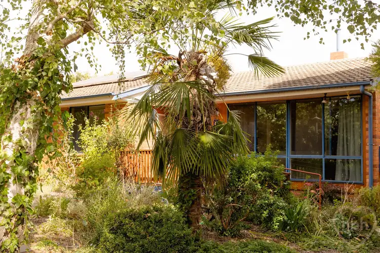 Main view of Homely house listing, 13 Dowling Street, Watson ACT 2602
