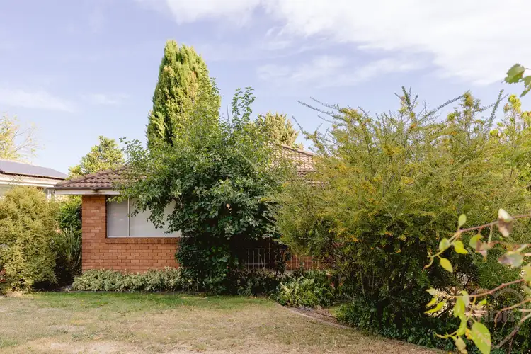 Main view of Homely house listing, 20 Dennis Street, Garran ACT 2605