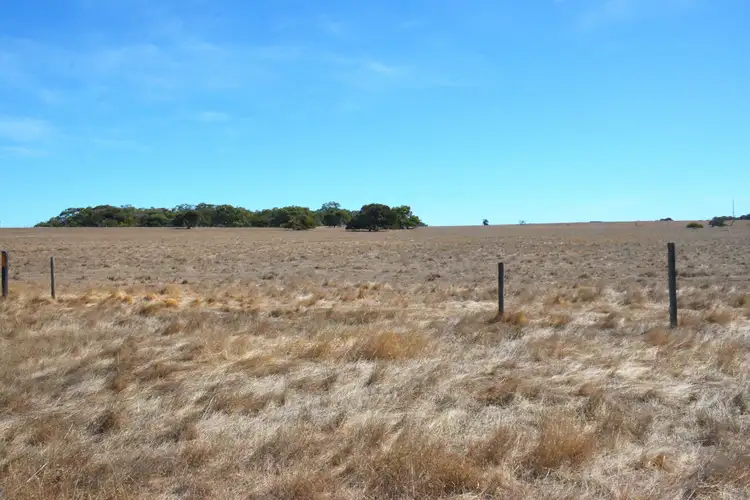 Second view of Homely rural property listing, LOT 300 Wedgewood Road, Parndana SA 5220